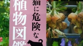 犬猫に有毒植物図鑑を購入しました。